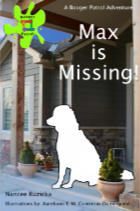 Buy Max is Missing!